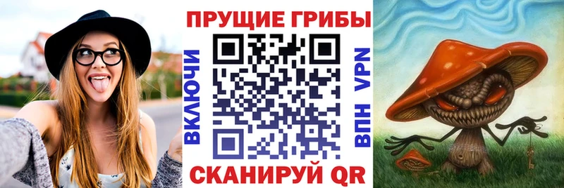 Псилоцибиновые грибы мицелий цены Видное